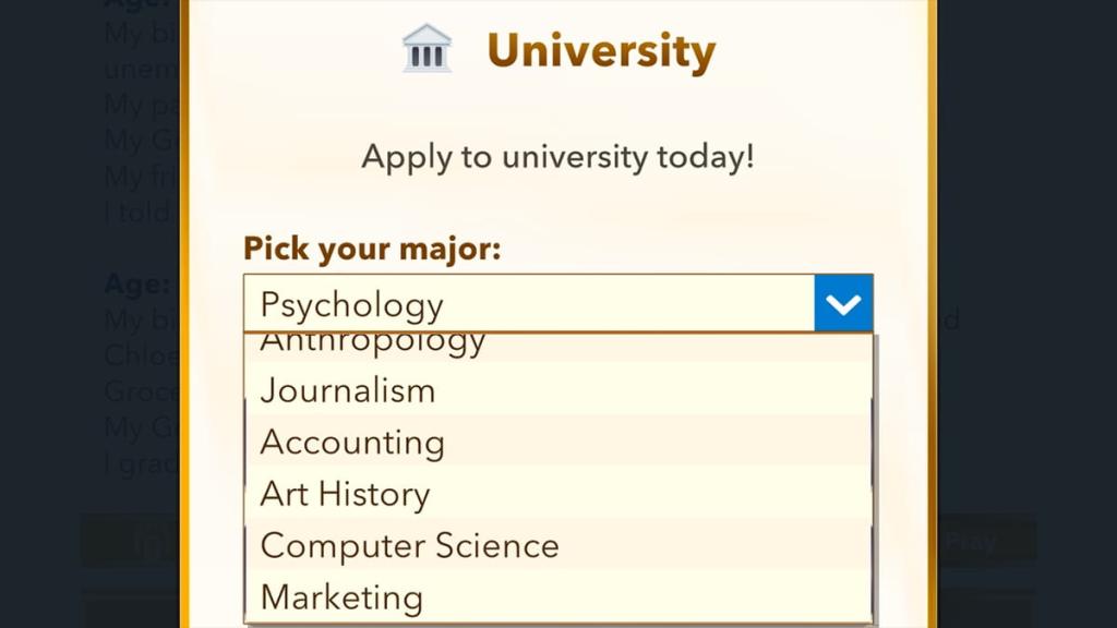 BitLife computer science degree