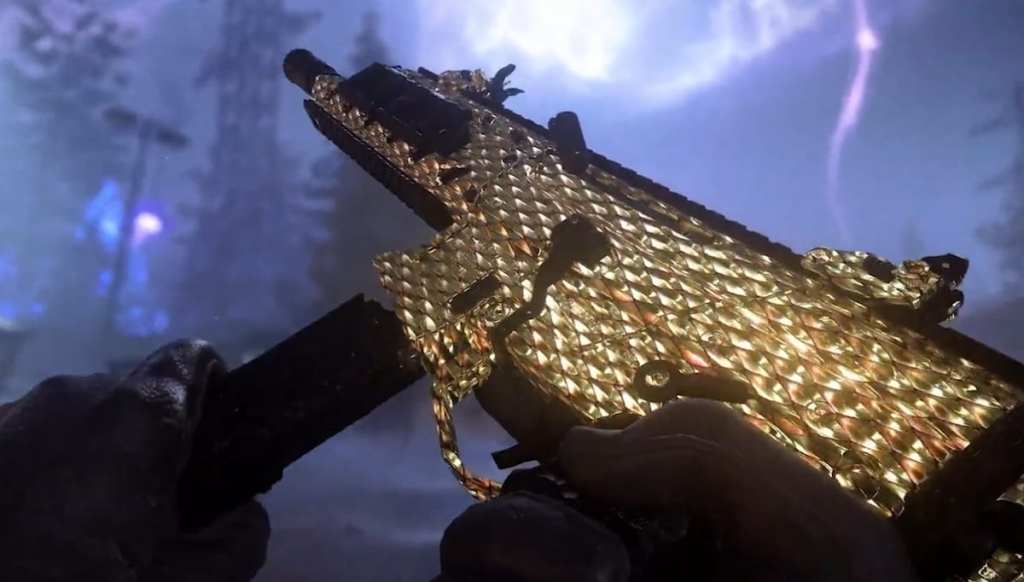 BO7 Zombies camo Golden Dragon