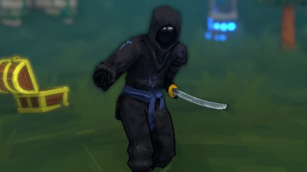 Close-up of the Ninja in Megabonk.