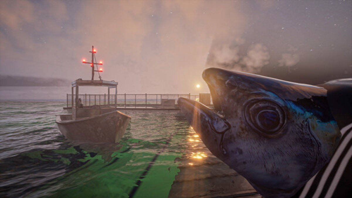 Looking at the sun setting while holding a fish, with the boat visible on the side, next to a pier