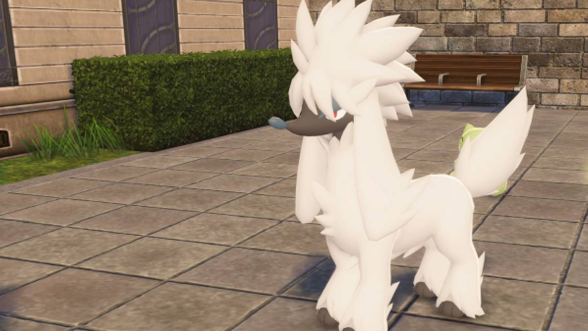 The Pokémon Furfrou is shown in Pokémon Legends Z-A