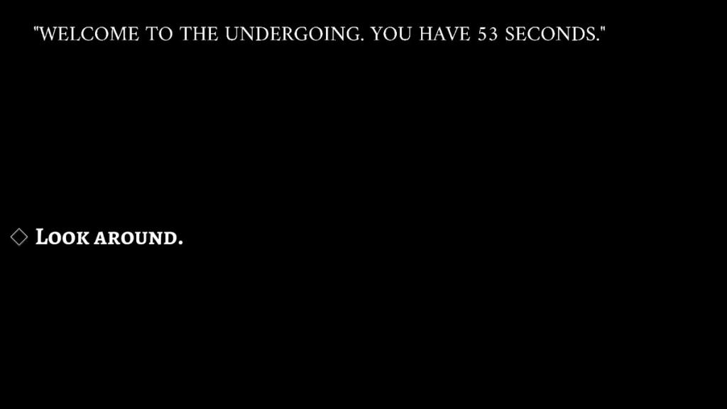 Introduction to the Undergoing