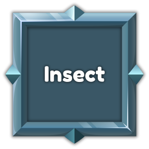 Insect