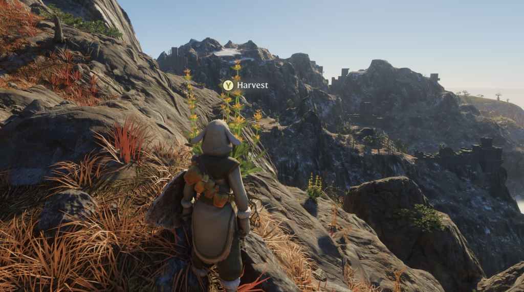 The player in Enshrouded looks at a yellow flowered plant on a cliff's edge.