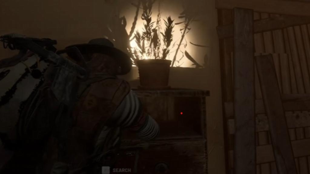 Plant in the Farmacia building