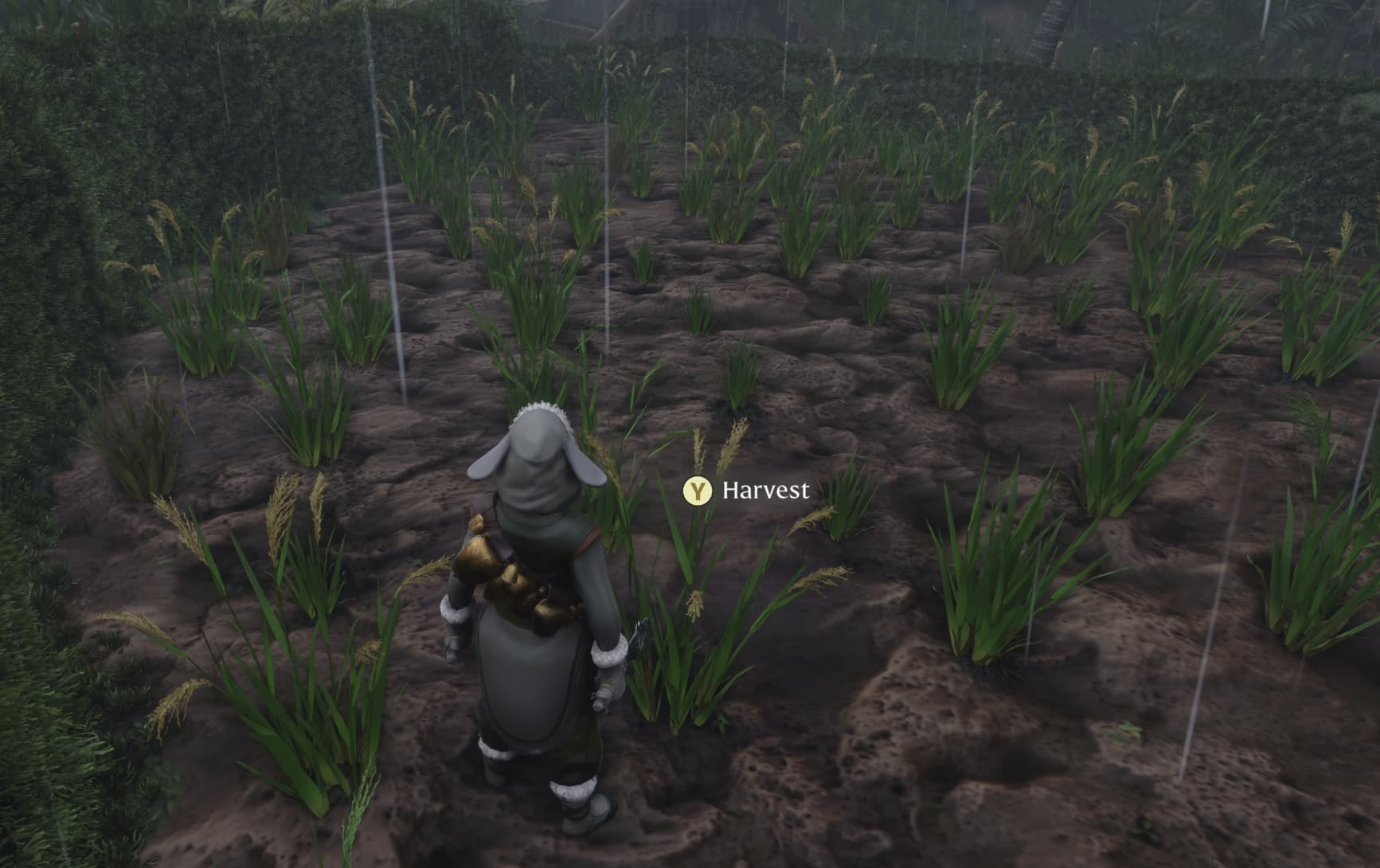 An image in Enshrouded showing the player standing in front of grass in a plowed field.