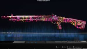 BO7 Sunset Zebra camo