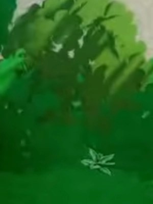 Tsukaro SSS boss on the World 29 in Anime Eternal Roblox experience.