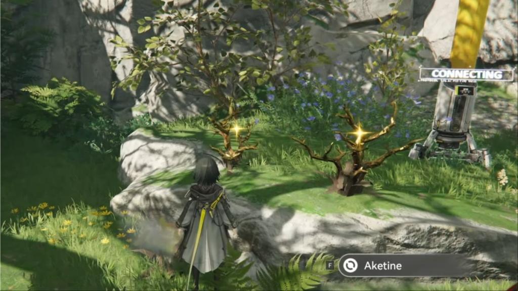 Aketine in Arknights Endfield