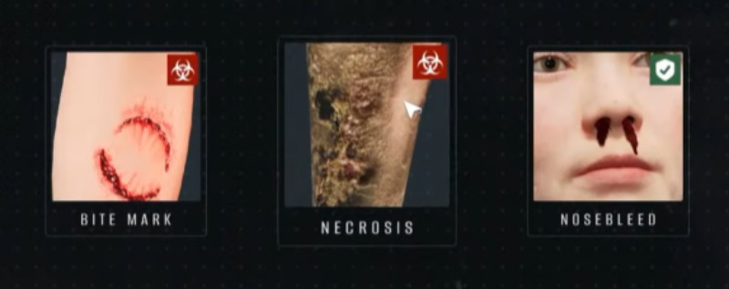 bite mark, necrosis, and nose bleed symptoms in quarantine zone