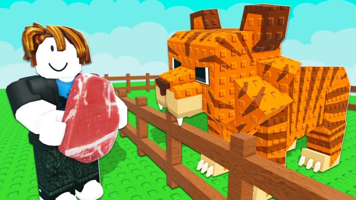 Catch And Tame Codes Featured Image