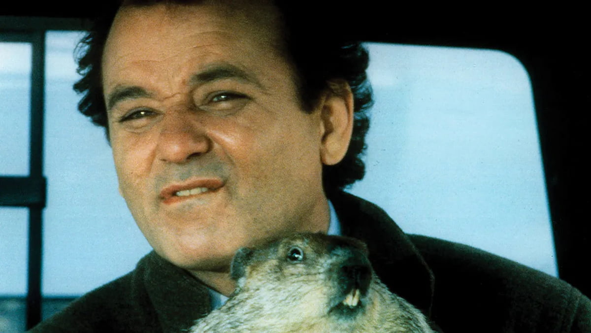 Bill Murray driving with a groundhog