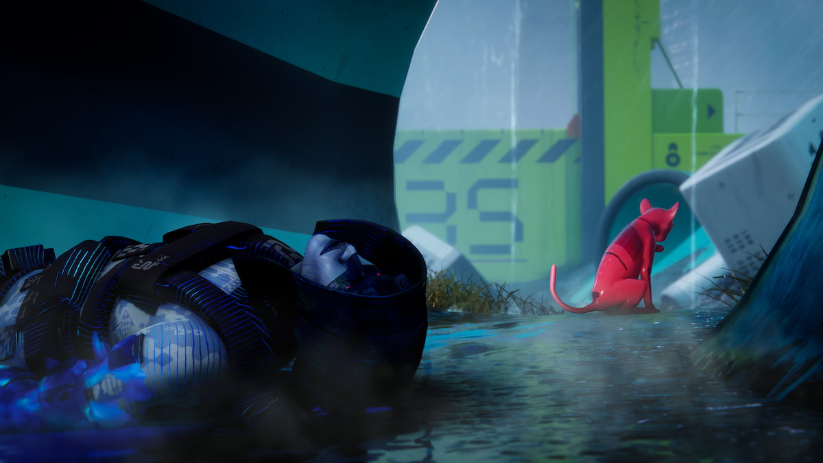 Marathon dead runner and cat