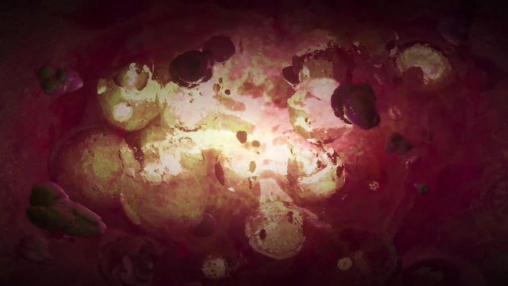 The inside of a Poppy Gel tank