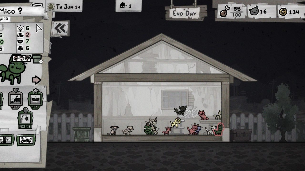 Cat house for breeding in Mewgenics.