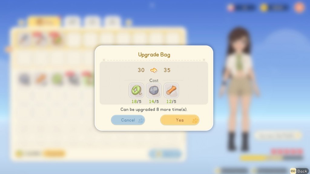 Upgrade bag in starsand island