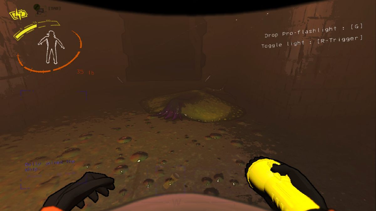 Backwater Gunkfish side profile shot