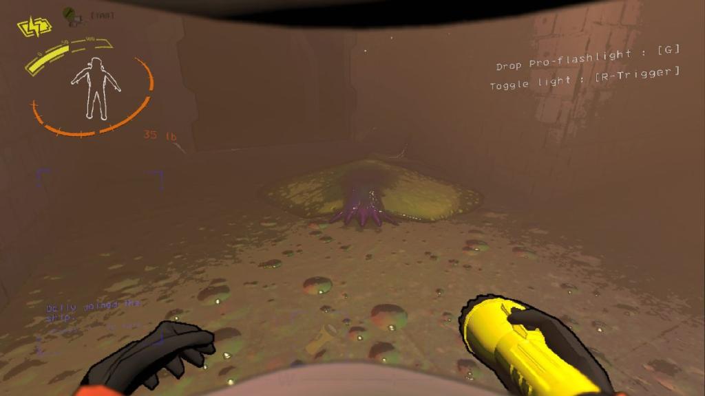 Front shot of Gunkfish's face