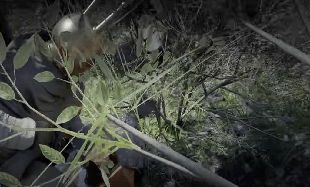 Simon de Montfort in Crimson Desert