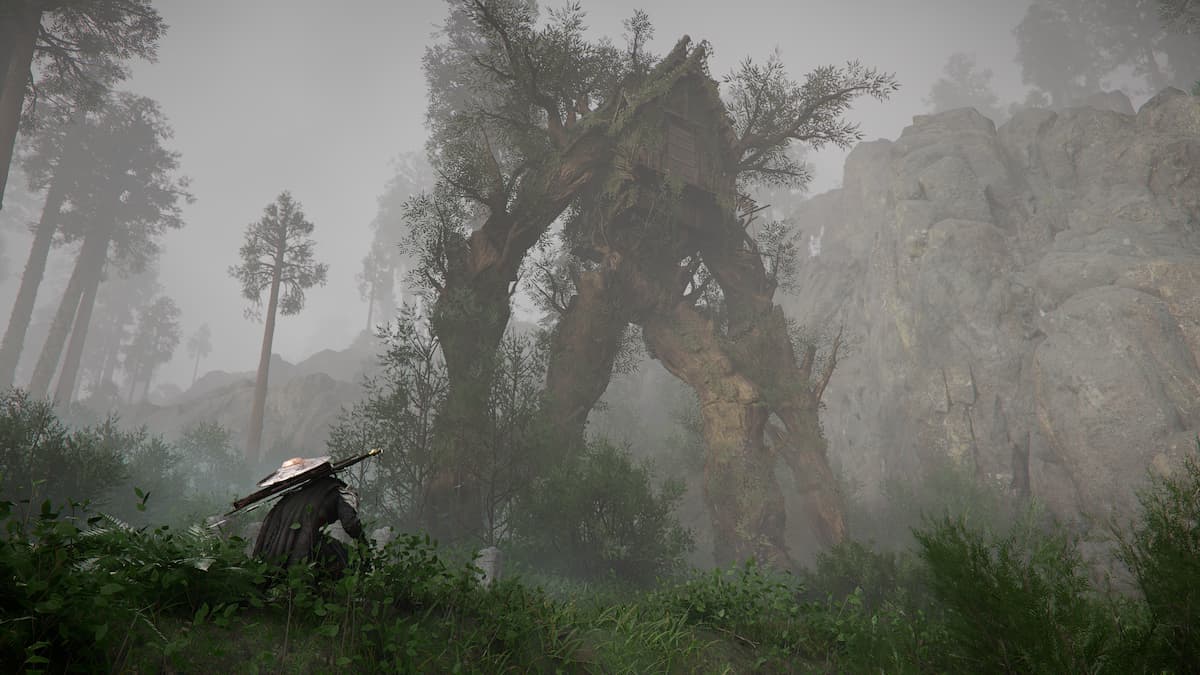Kliff observing a massive living tree with a house instead of its head in Crimson Desert.